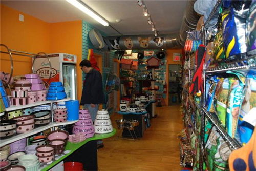 寵物用品超市加盟費解析 總投資27.89萬元，加盟費如何構成？